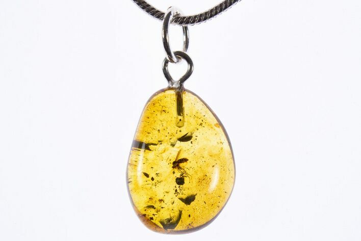 Polished Baltic Amber Pendant (Necklace) - Contains Fly & Debris! #339577